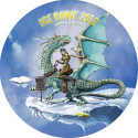 The Top 21 Fundraising Ice Bowls in 2012